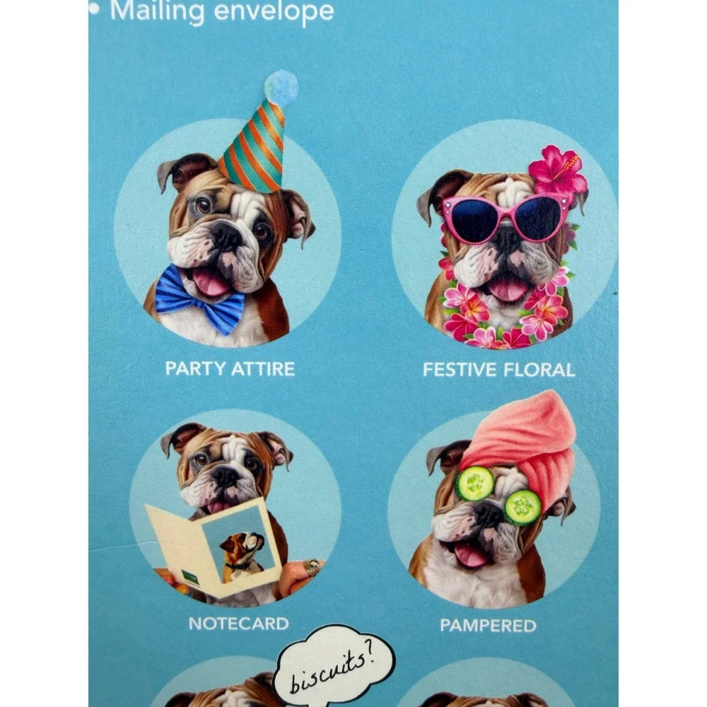 New Freshcut Paper English Bulldog Pop-Up Pup 3D Greeting Card with Accessories